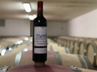 如何开一家红酒樱花草日韩视频店比较好
