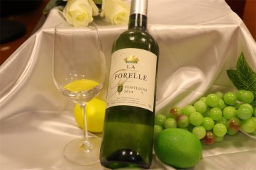 樱花草日韩视频樱花视频黄APP红酒代理要注意什么