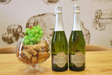 国产红酒樱花视频黄APP排行好不好