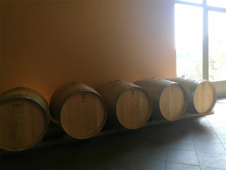 代理什么法国红酒的樱花视频黄APP适合